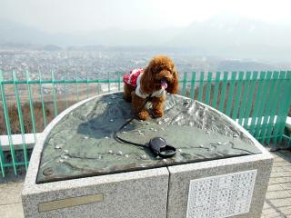 20130307_04.jpg
