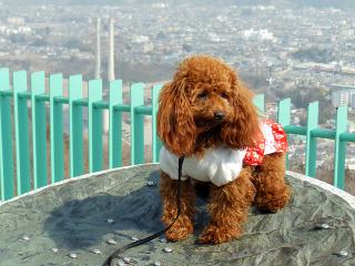 20130307_05.jpg