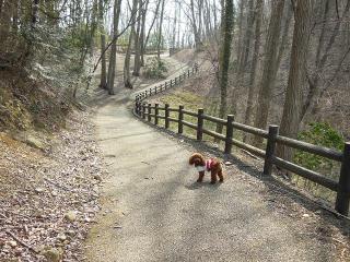 20130307_08.jpg