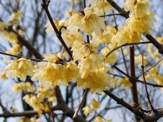 20130307_09.jpg