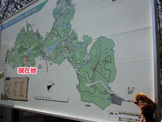 20130316_27.jpg