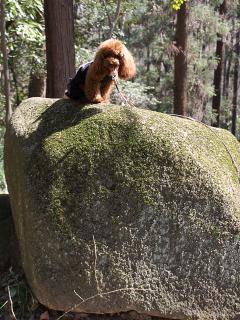 20130316_30.jpg