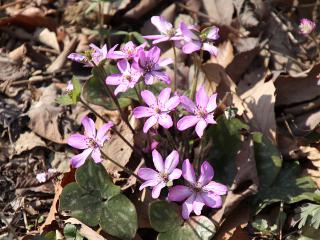 20130316_33.jpg