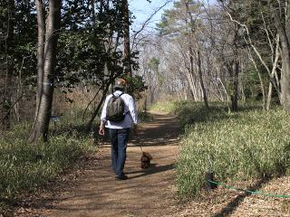 20130316_34.jpg