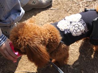 20130316_35.jpg