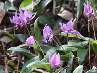 20130316_36.jpg