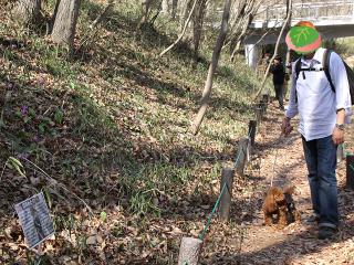 20130316_37.jpg