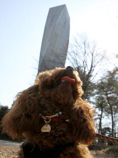 20130316_40.jpg