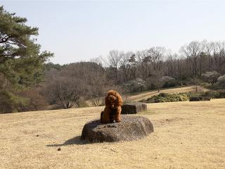 20130316_45.jpg