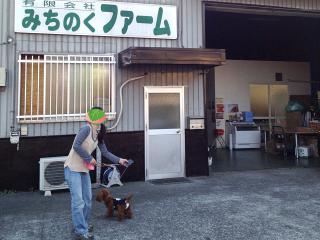20130316_50.jpg