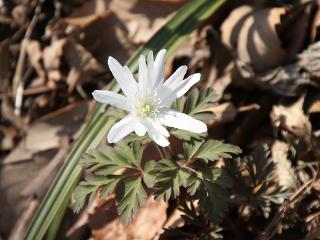 20130316_58.jpg