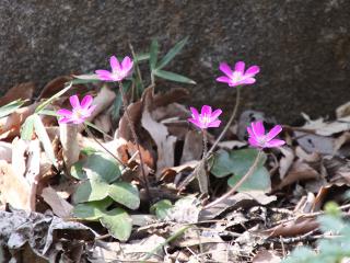 20130316_59.jpg