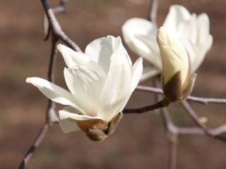 20130316_60.jpg