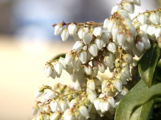 20130316_61.jpg