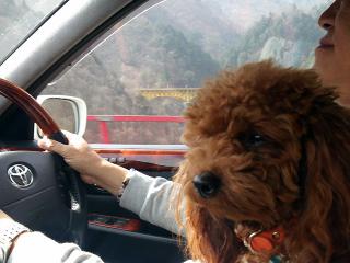 20130320_01.jpg