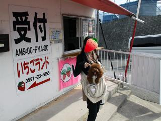 20130320_03.jpg