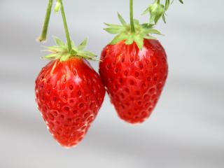 20130320_09.jpg