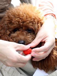 20130320_11.jpg
