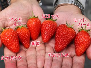 20130320_14.jpg