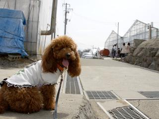 20130320_20.jpg