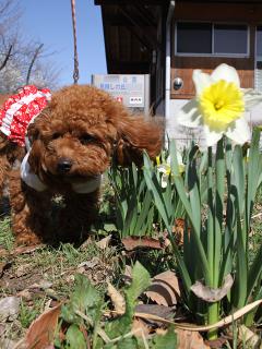 20130321_02.jpg