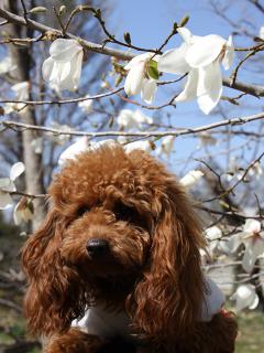 20130321_04.jpg