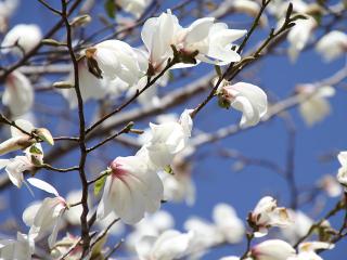 20130321_05.jpg