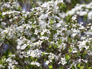 20130321_06.jpg