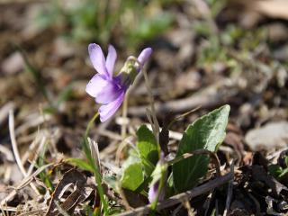 20130321_07.jpg