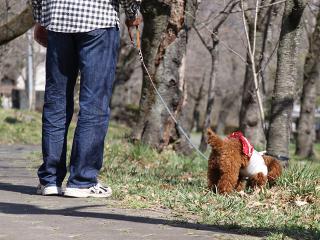 20130321_08.jpg
