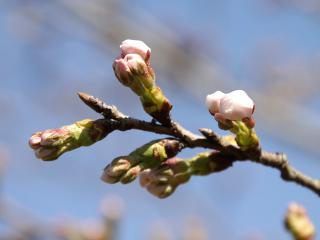20130321_09.jpg