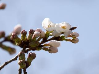 20130321_10.jpg