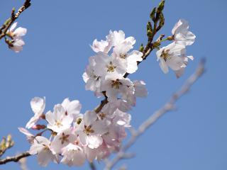 20130321_11.jpg