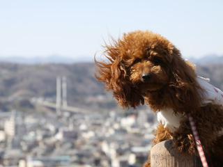 20130321_15.jpg