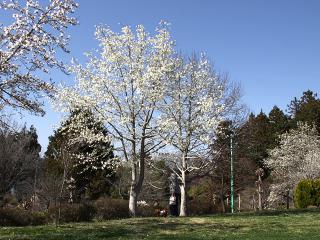 20130321_20.jpg