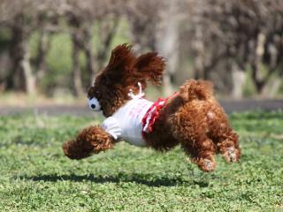 20130321_21.jpg