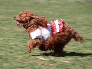 20130321_22.jpg