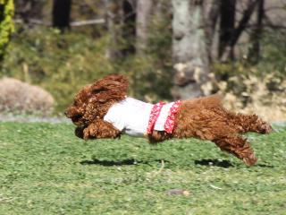 20130321_23.jpg