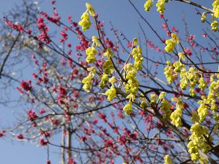 20130321_25.jpg