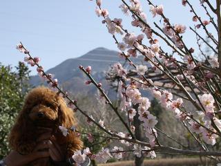 20130321_26.jpg