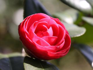20130321_31.jpg