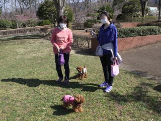 20130321_32.jpg