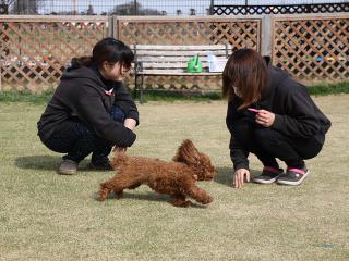20130326_04.jpg