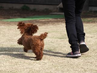 20130326_06.jpg
