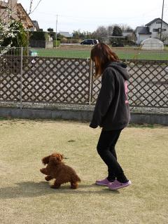 20130326_07.jpg