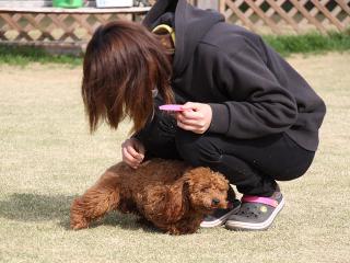 20130326_08.jpg