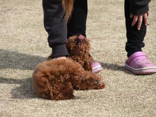 20130326_10.jpg