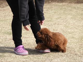 20130326_11.jpg