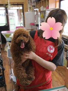 20130326_12.jpg