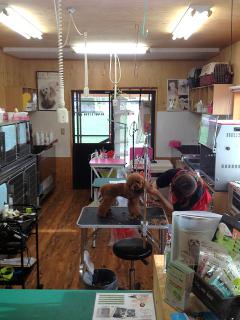 20130326_20.jpg
